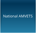 National AMVETS